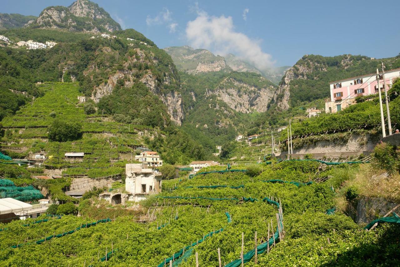 Villa Pricitella Amalfi Kültér fotó